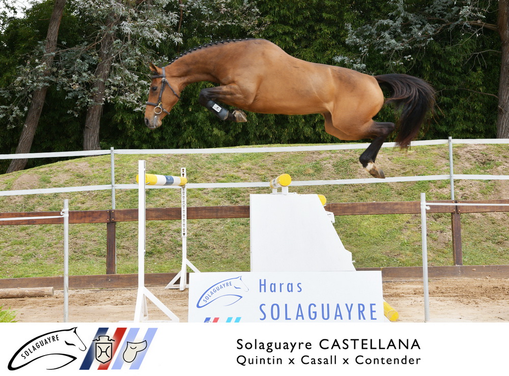 SOLAGUAYRE CASTELLANA